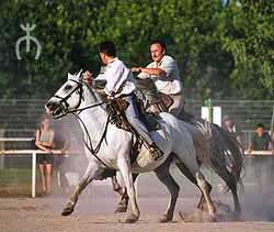 "Camarguais" Spiel