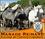 Manade Reinard